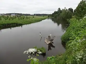 Москва-река. Деревня Холдеево