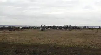 Вид на деревню с автодороги Шимск—Старая Русса