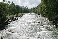 Река Мульта неподалёку от деревни Маральник