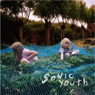 Обложка альбома Sonic Youth «Murray Street» (2002)