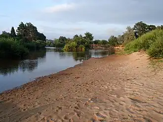 Устье реки Мустйыги