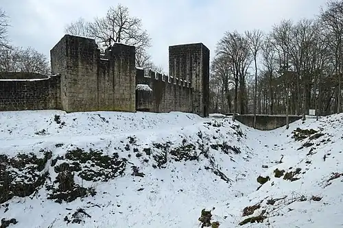 Замковый ров и стены крепости зимой