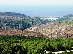 Заповедник Нахаль-Галим