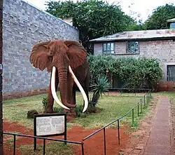 Статуя слона