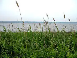 Берег Акуиднека и залив Наррагансетт