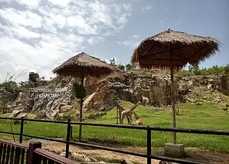 Вид на зоопарк