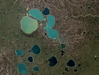 Спутниковый снимок НАСА озёр Нейто и Ямбуто