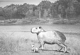 Реконструкция Neochoerus pinckneyi