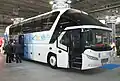 Neoplan Starliner (2004-настоящее время)