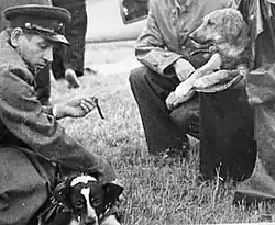 Собаки Непутёвый и ЗИБ