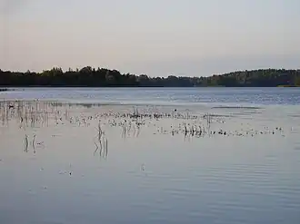 Долысское в сентябре 2008 года