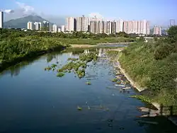 Река Ынтун вниз по течению