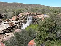 Водопад Ньювудвилл