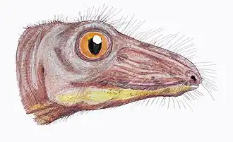 Nikkasaurus tatarinovi