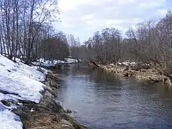 Нижняя Старица в половодье, апрель 2011. Вид близ трассы Старица-Торжок