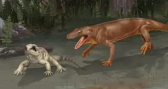 Nooxobeia (справа) и Varanodon (слева)