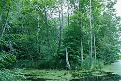 Парк Норица