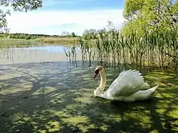 Озеро Норица