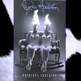Обложка альбома Jane's Addiction «Nothing's Shocking» (1988)