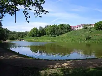 Новогорский лесопарк, квартал 66, водоём. Фотография 2011 года