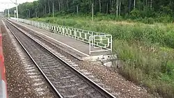 Южная платформа, вид из окна поезда