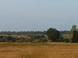 окрестные поля