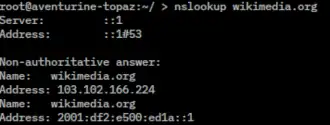 Скриншот программы Nslookup