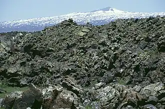 Застывшие базальтовые лавы Тендюрек (1990 г).