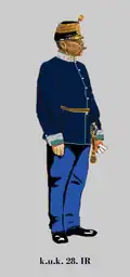 Полковник 28-го пехотного полка