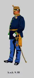 Полковник 9-го пехотного полка
