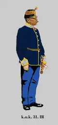 Полковник 31-го пехотного полка