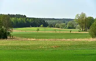 Сокольские холмы, западная часть Гродненской возвышенности, в окрестностях села Белогорце (Сокульский повят, Подляское воеводство, Польша)