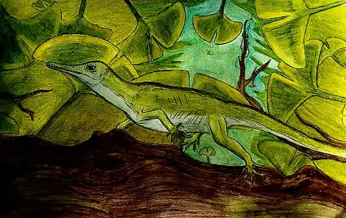 Реконструкция Oculudentavis khaungraae