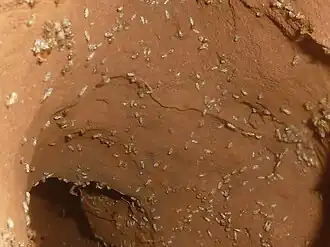 Рабочие в вентиляционном туннеле