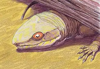 Реконструкция Oedaleops campi