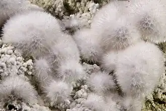 Окенит из Индии