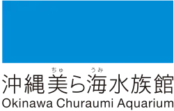 Изображение логотипа