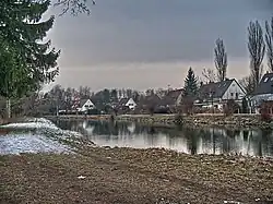 Аммер недалеко от истоков