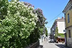 Вид с Крепостной улицы