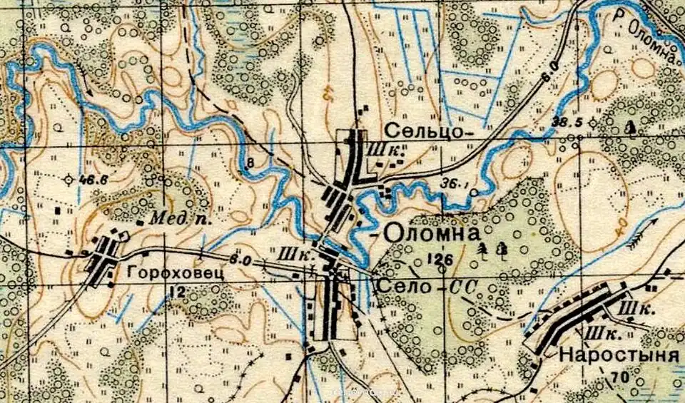 План села и сельца Оломна. 1937 год
