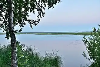 Белая ночь над Сестрорецким разливом