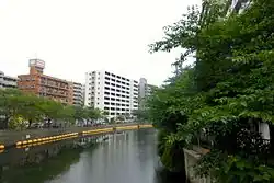 Река в июне 2015 года