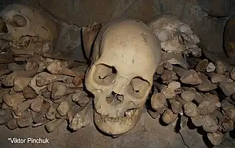 Фото из книги (15. 01. 2019 г.)