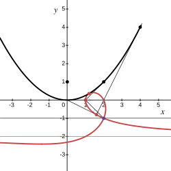 Офиурида 
  
    
      
        
          
            (
            y
            +
            1
            )
            (
            x
            (
            x
            −
            2
            )
            +
            y
            (
            y
            +
            1
            )
            )
            +
            (
            x
            −
            2
            
              )
              
                2
              
            
            =
            0
          
        
      
    
    {\displaystyle {\scriptstyle (y+1)(x(x-2)+y(y+1))+(x-2)^{2}=0}}
  
 — полюс подеры не в центре директрисы параболы 
  
    
      
        
          
            
              x
              
                2
              
            
            =
            4
            y
          
        
      
    
    {\displaystyle {\scriptstyle x^{2}=4y}}
