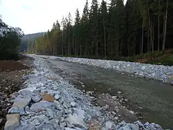 Верхнее течение Оравицы летом 2011 года