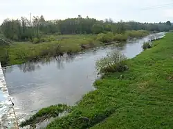 Осуга в районе села Большой Борок, около шоссе Торжок-Осташков в мае