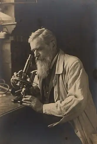 Отто Бючли за микроскопом, 1895 год.