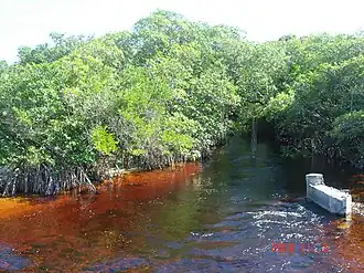 Река Ченкан