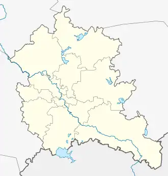 Боровичи (Боровичский район)