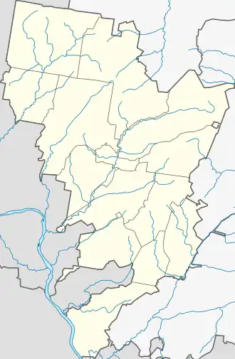 Бемыж (Кизнерский район)